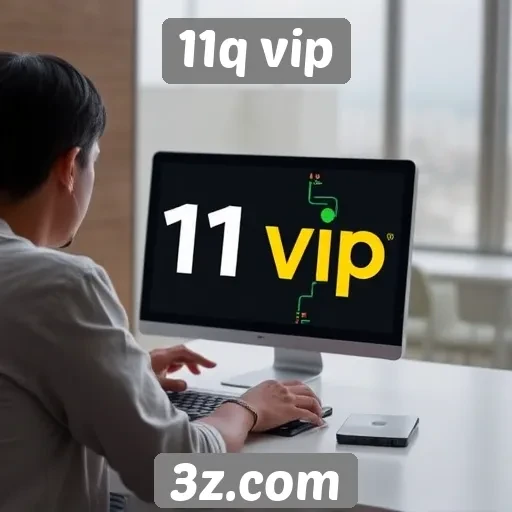 Experiência do usuário no 11q vip e suas funcionalidades