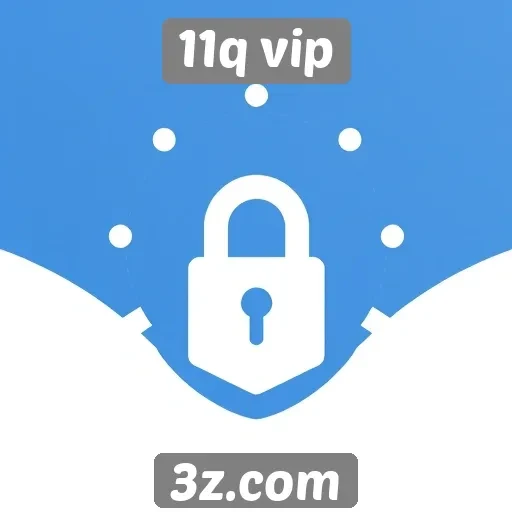 Segurança e privacidade no site 11q vip