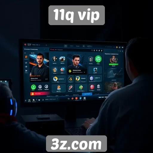 Facilidade de uso da interface do 11q vip